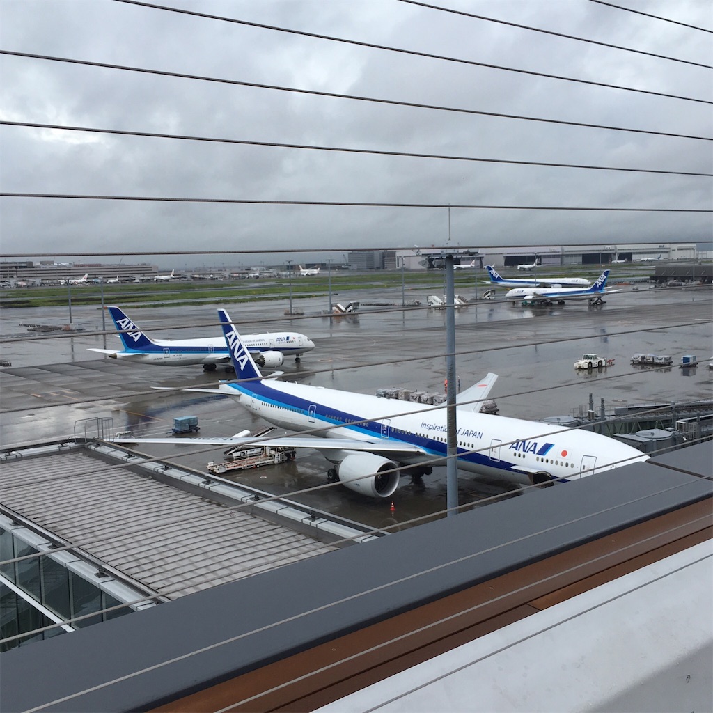 子供と行く羽田空港第３旅客ターミナル完全ガイド 見るべきポイントと回り方 うさぎツーリスト