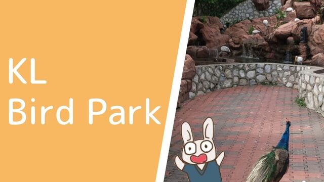 子連れでクアラルンプール バードパーク Kl Bird Park 東南アジア最大級の鳥の楽園 うさぎツーリスト