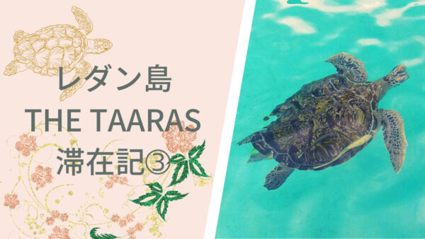 子連れでマレーシア レダン島ターラス The Taaras 滞在記 ウミガメと一緒に泳げるシュノーケリングツアーやクッキングクラスなど イベントが沢山の二日目 トラブルも うさぎツーリスト